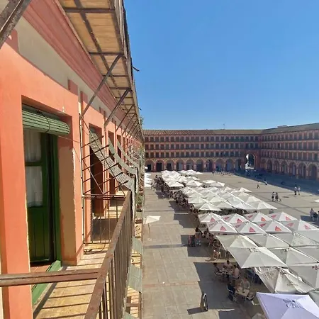 ベッド・アンド・ブレックファスト Plaza Mayor Corredera 3*